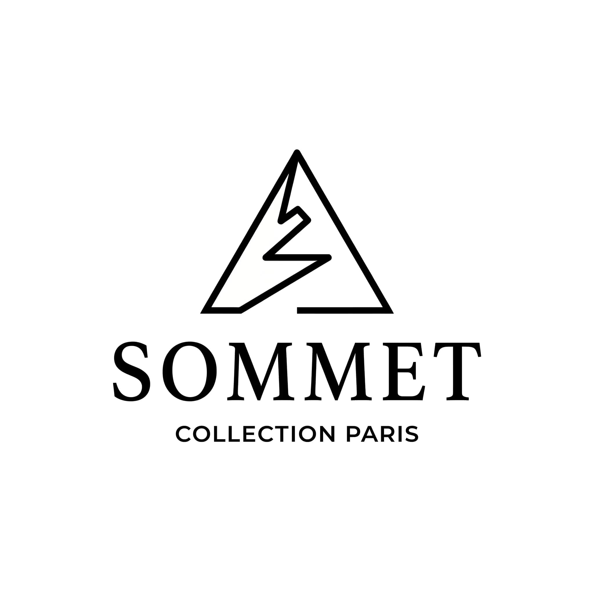 Exemple de logo idéal pour la broderie sur t-shirt : pictogramme
